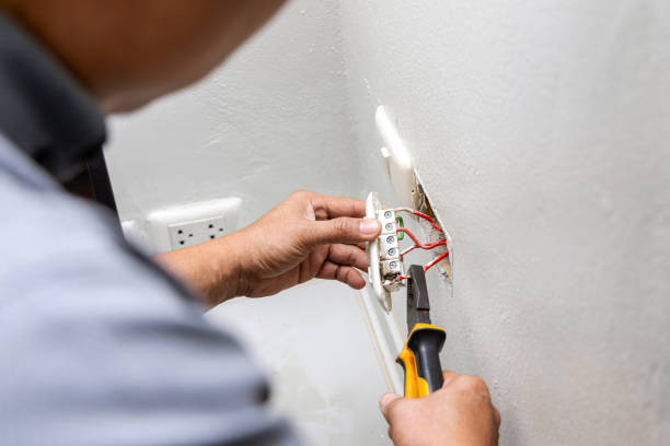 Best 24-Hour Electrician  in Harrison, MI